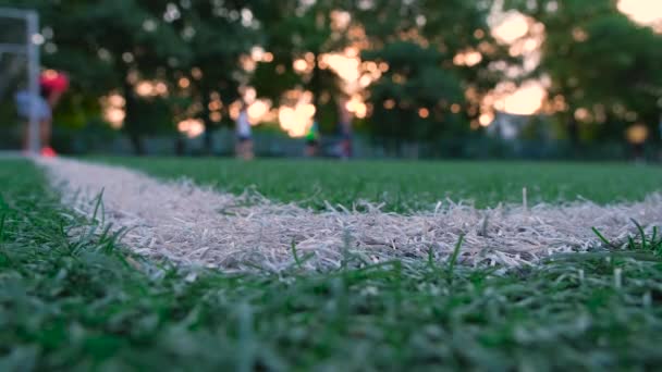 잔디를 클로즈업하고 선수들이 있습니다 Fifa 월드컵 2022 — 비디오