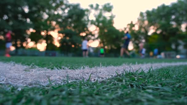 足球草坪特写 足球运动员为背景 以足球为背景 世界杯的训练 — 图库视频影像