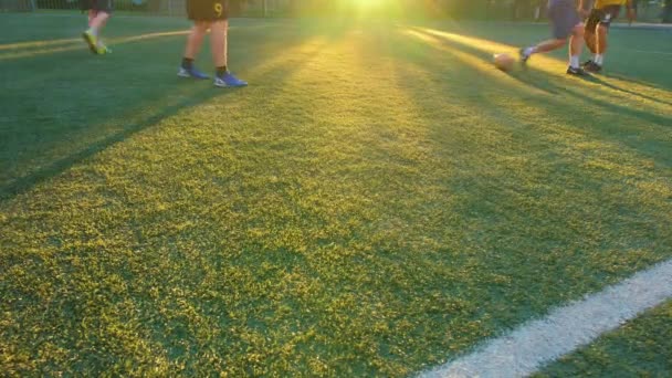 足球训练 日落时练习足球 在现代训练场地踢足球 — 图库视频影像