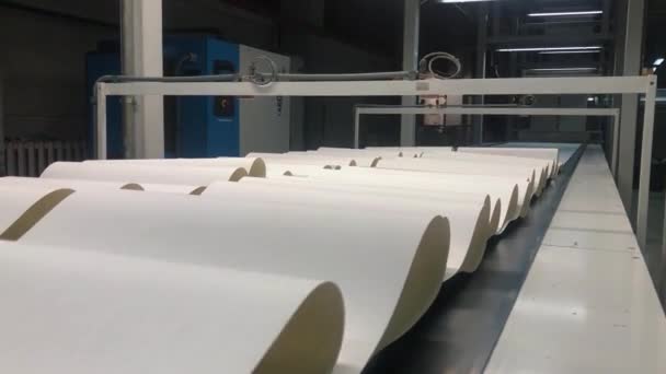 壁纸工厂 制作壁纸的过程 自动化壁纸生产厂 壁纸生产线 — 图库视频影像
