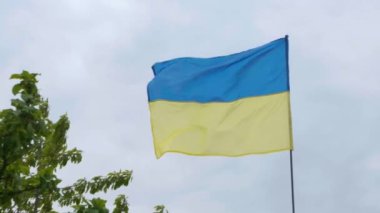 Ukrayna vatandaşı rüzgârda gelişiyor. Ulusal Ukrayna Bayrağı.