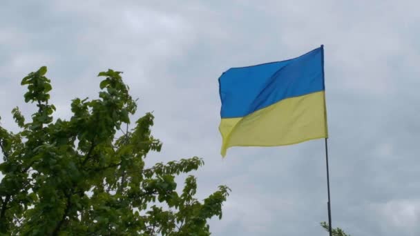 Ukraiński Faln Narodowy Rozwija Się Wietrze Flaga Narodowa Ukrainy — Wideo stockowe