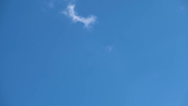 Nuages Dans Ciel Nuages Légers Contre Ciel Bleu Des Nuages — Video