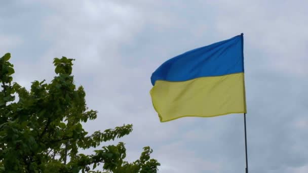 Faln Nacional Ucraniano Desenvolve Vento Bandeira Nacional Ucrânia — Vídeo de Stock