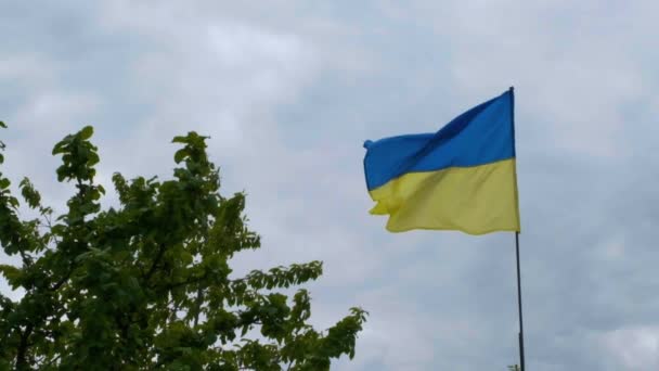 Oekraïense Nationale Valk Ontwikkelt Zich Wind Nationale Vlag Van Ukraïne — Stockvideo