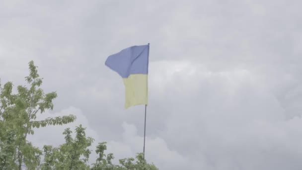 Falda Nacional Ucraniana Desarrolla Viento Bandera Nacional Ucrania — Vídeo de stock