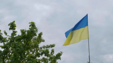 Ukrayna vatandaşı rüzgârda gelişiyor. Ulusal Ukrayna Bayrağı.