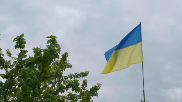 Ukrainian National Faln Develops Wind National Flag Ukraine — Stock Video