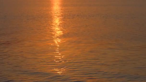 Matahari Dipantulkan Atas Air Pantulan Matahari Pada Permukaan Air Pantulan — Stok Video