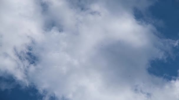 Nuvens Céu Nuvens Luz Contra Céu Azul Nuvens Brancas Céu — Vídeo de Stock