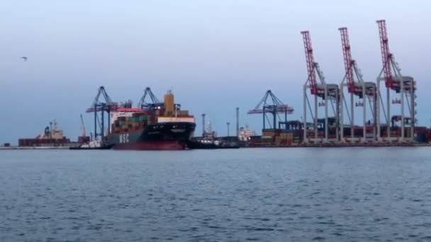 Hajó Konténerekkel Tengeri Kikötőben Konténerekkel Ellátott Hajó Kirakodása Konténerhajó Kikötőben — Stock videók