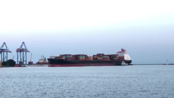 Navire Avec Conteneurs Dans Port Maritime Déchargement Navire Avec Des — Video