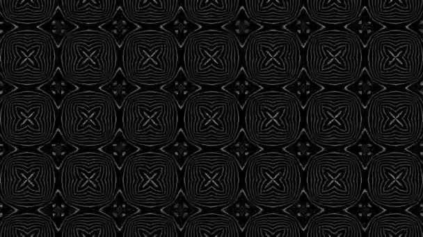 Black White Abstract Background Black White Kaleidoscope Background Black White — Stok video