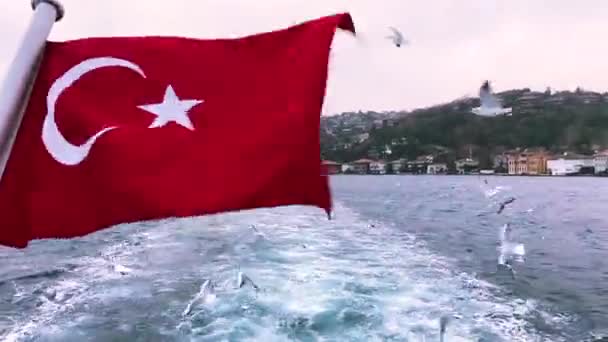 Bandera Turca Fondo Del Bósforo Ondeo Bandera Turca Contra Telón — Vídeos de Stock