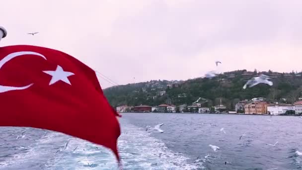 Bandera Turca Fondo Del Bósforo Ondeo Bandera Turca Contra Telón — Vídeos de Stock