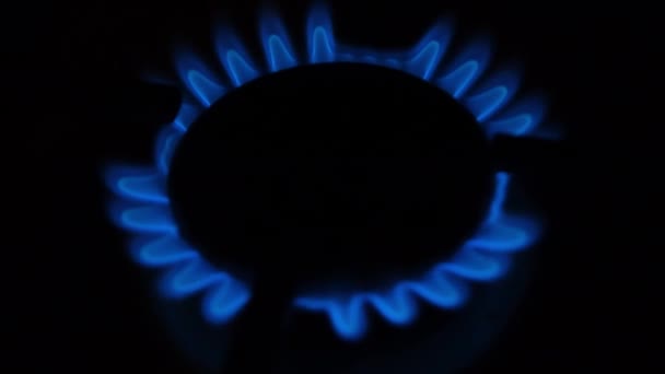 Gas Burner Kurpny Plan Gas Stove Gas Burner Ukraine Light — Stock video