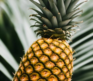 Yeşil yapraklı ve derili çiğ ananas resmi