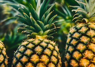 Yeşil yapraklı ve derili çiğ ananas resmi