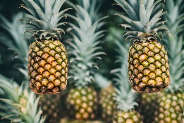 Yeşil yapraklı ve derili çiğ ananas resmi