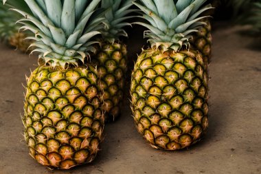 Yeşil yapraklı ve derili çiğ ananas resmi