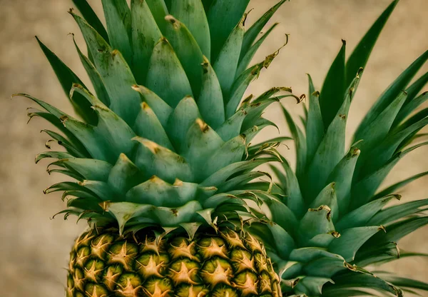 Zdjęcie Surowego Ananasa Zielonymi Liśćmi Skórą — Zdjęcie stockowe