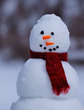 Açık havada kardan adamın gerçekçi bir tasviri, üretken ai