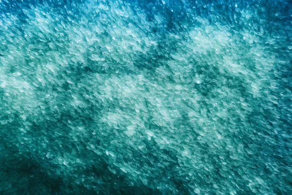 Imagem Fundo Abstrato Oceano Azul Generativo — Fotografia de Stock