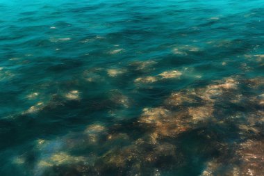 Mavi okyanusun soyut arkaplan resmi, üretici ai