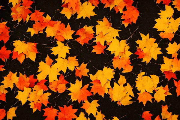 Ilustracja Jesiennych Liści Klonu Zewnątrz Generative Obrazy Stockowe bez tantiem