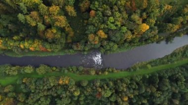 Ekim ve Kasım aylarının tüm renkleriyle oynayan sonbahar yaprak döken ormanla çevrili nehir manzarası. Doğa anadan nefes kesici bir peri masalı. Sarı, yeşil, turuncu, kırmızı hepsi bir arada. Beskydy, Çek Cumhuriyeti