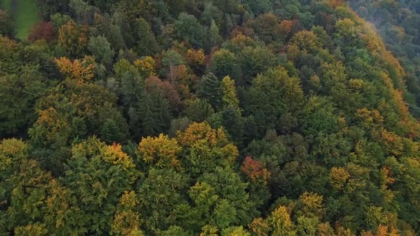Άποψη Του Φθινοπώρου Φυλλοβόλο Δάσος Παίζει Όλα Χρώματα Του Οκτωβρίου — Αρχείο Βίντεο