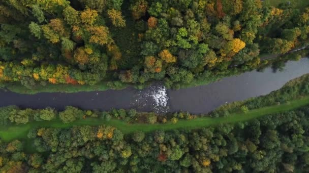 Pohled Řeku Obklopenou Podzimním Listnatým Lesem Hrajícím Všemi Barvami Října — Stock video
