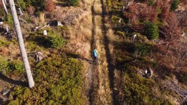 バックパックを積んだハイカーは チェコ共和国のベスキディ山の山頂への道を歩きます 彼は秋の季節に暖かい太陽の下で掃除をしている より良い未来のためのアクティブなライフスタイル — ストック動画