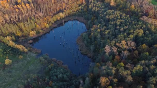 Αεροφωτογραφία Της Λίμνης Σχήμα Καρδιάς Και Γύρω Πολύχρωμα Δέντρα Φθινόπωρο — Αρχείο Βίντεο