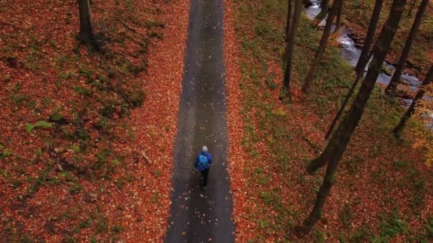 Podróżnik Niebieskiej Kurtce Spaceruje Ścieżką Leśną Otoczony Pomarańczowymi Opadłymi Liśćmi — Wideo stockowe