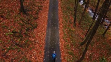 Mavi ceketli gezgin, patikanın etrafına yayılmış kayın ormanlarından dökülen turuncu yapraklarla çevrili bir orman yolu boyunca yürüyor. Sonbahar atmosferi