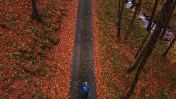 Mavi Ceketli Gezgin Patikanın Etrafına Yayılmış Kayın Ormanlarından Dökülen Turuncu — Stok video