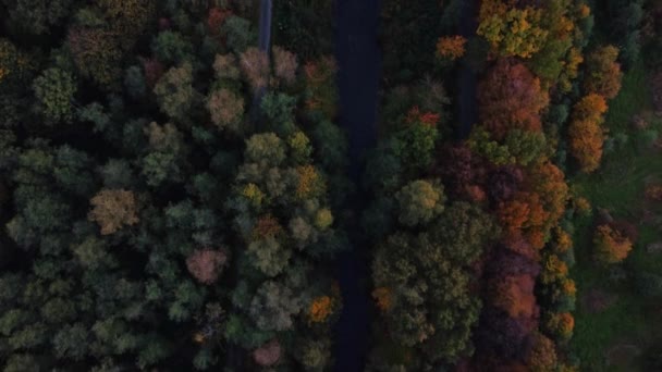 Pohled Řeku Obklopenou Podzimním Listnatým Lesem Hrajícím Všemi Barvami Října — Stock video