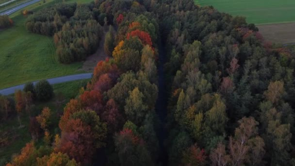 Utsikt Över Floden Omgiven Höstlövskog Leka Med Alla Färger Oktober — Stockvideo