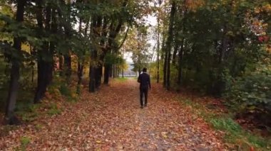Mavi ceketli gezgin, patikanın etrafına yayılmış kayın ormanlarından dökülen turuncu yapraklarla çevrili bir orman yolu boyunca yürüyor. Sonbahar atmosferi