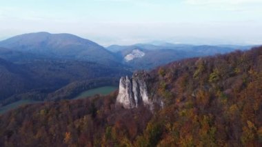 Sonbahar turuncu ormanıyla çevrili bir kayanın tüm vadiyi kaplayan görüntüsü. Nefes kesici sabah rengi manzara. Slovakya, Avrupa
