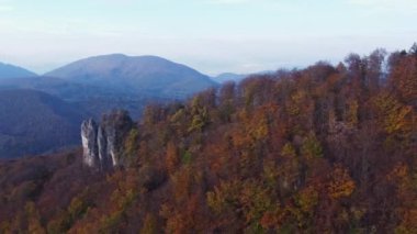 Sonbahar turuncu ormanıyla çevrili bir kayanın tüm vadiyi kaplayan görüntüsü. Nefes kesici sabah rengi manzara. Slovakya, Avrupa