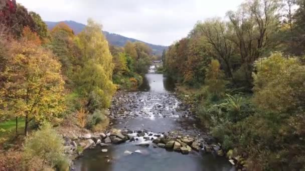 Widok Rzekę Otoczony Jesiennym Lasem Liściastym Bawiącym Się Wszystkimi Kolorami — Wideo stockowe