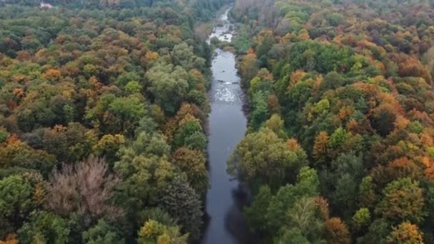 Вид Річку Оточений Осінніми Листяними Лісами Граються Усіма Кольорами Жовтня — стокове відео