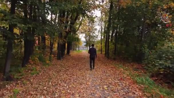 Viajante Uma Jaqueta Azul Caminha Longo Caminho Florestal Cercado Por — Vídeo de Stock