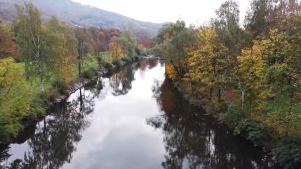 Вид Реку Окруженную Осенним Лиственным Лесом Играющим Всеми Красками Октября — стоковое видео