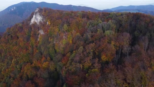 Zdjęcie Lotnicze Skały Otoczonej Jesiennym Lasem Pomarańczowym Pokrywającym Całą Dolinę — Wideo stockowe