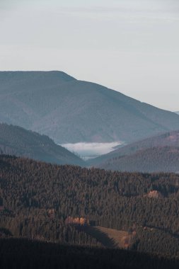 Çek Cumhuriyeti 'nin Beskydy Dağları' nın göbeğindeki iki dağ arasındaki bir vadide bulunan beyaz bir sisin görüntüsü. Sabah ışığı yoğunlaştırılmış nemi aydınlatır..