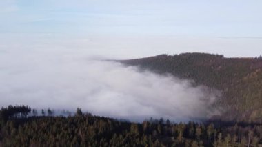 Ovalara yapışan sabah sisinden kozalaklı ormanlar yükseliyor. Dokunulmamış bir manzaranın havadan görünüşü. 4k video. Çek Cumhuriyeti