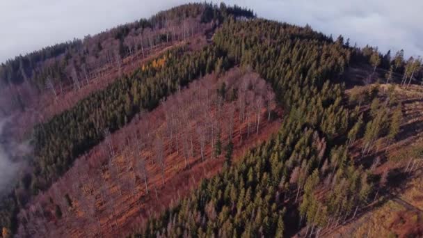 Las Iglasty Wznosi Się Nieprzepuszczalnej Porannej Mgły Przylegającej Nizin Widok — Wideo stockowe